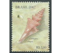 C2691 CONCHAS  MARÍTIMAS, DO BLOCO 145 - 2007 10.868 Mint